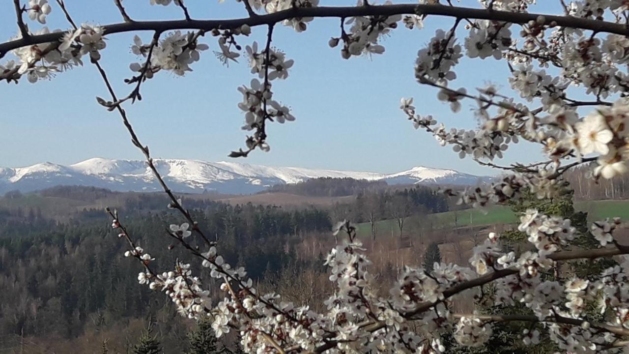 Kowalowe Skaly Spa&More Jelenia Góra Εξωτερικό φωτογραφία